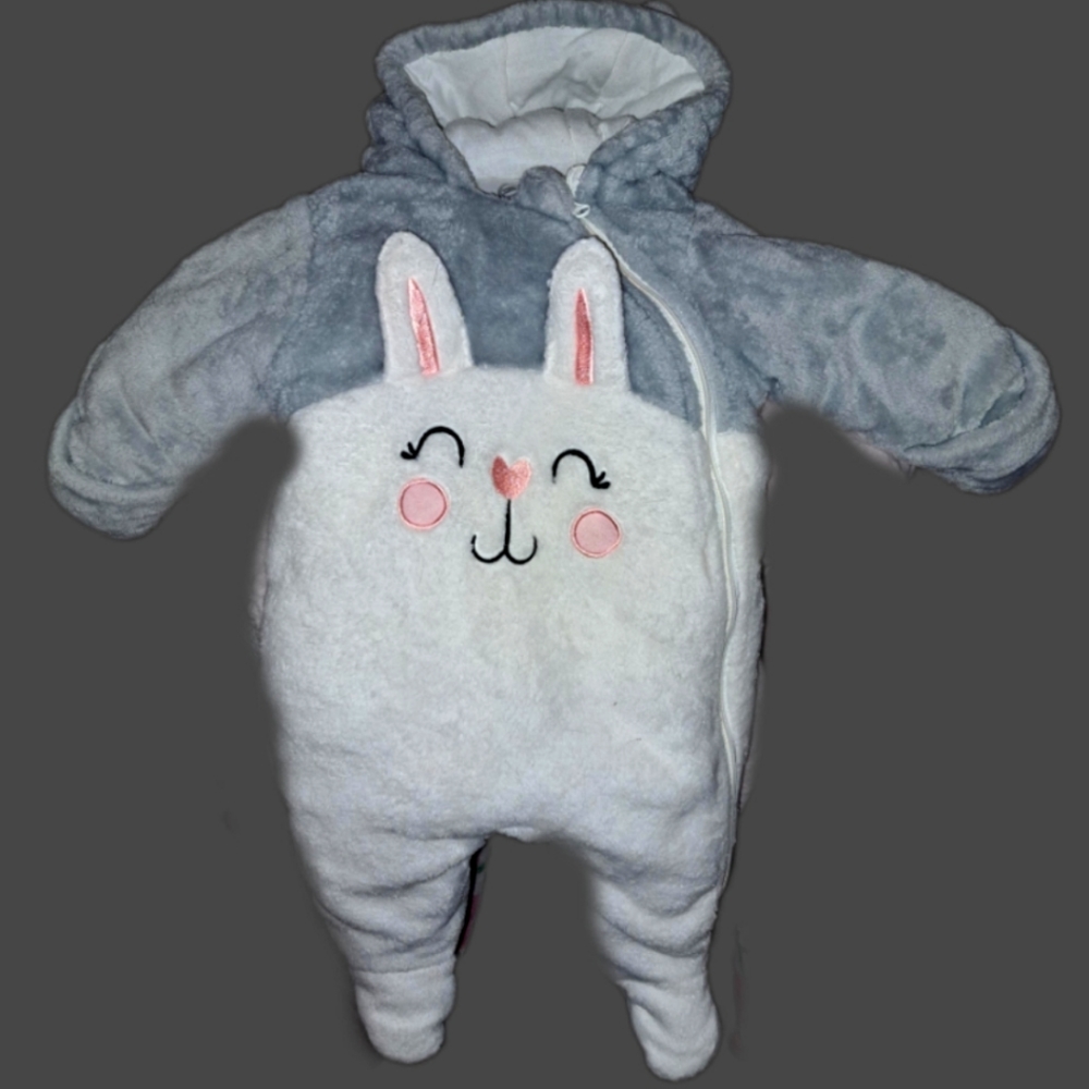 Baby Girl Snow Suit